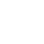 Broadcom logo