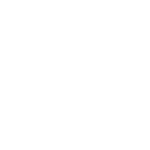 Zoom logo